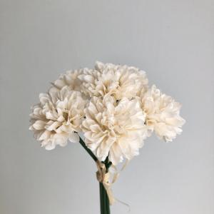 ASCA アスカ ポンポンマムバンチ(1束6本) (A-34941-091)【入数:24】