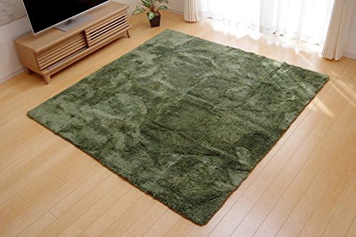 イケヒコ 引っ敷き 引っ敷き 3畳 無地 シャギー調 室内用便器可 上滑り打ちきり付き添い人 選べる3色 スレッド 緑であること 約190×240珊