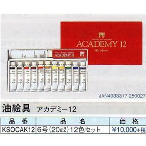 クサカベ(Kusakabe) アカデミー12アカデセンモンカヨウア アカデミー12 アカデミー専門家用油絵具12色セット