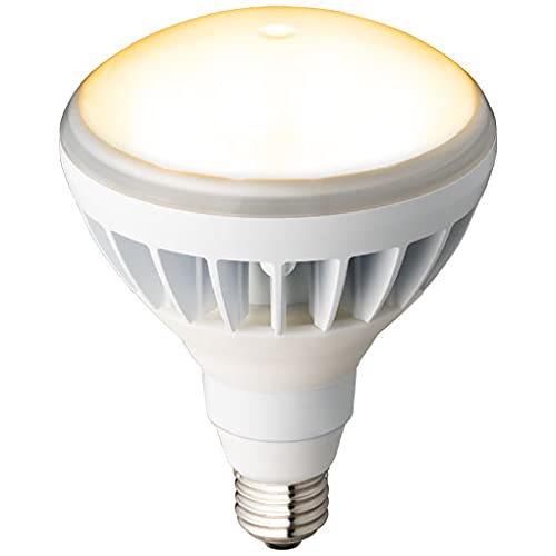 岩崎電気 ＬＥＤアイランプ１２Ｗ本体白 19LDR11L-H/W827A