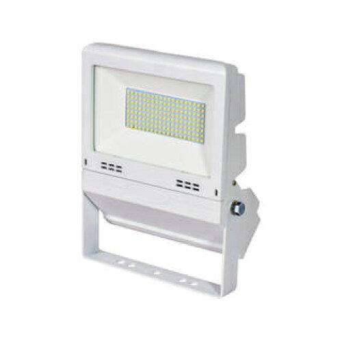 日動加工 NICHIDO LED投光照明器 常設用坦々たるともし火50W 白 (LJSFH50DW50K 5026)