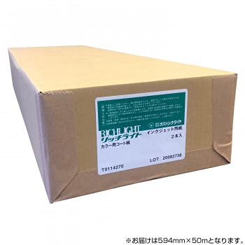 ディーソル(Deesol) オストリッチダイヤ RJD色つや用厚地の外套紙 594mm×50m 2本入 1箱 RJD-04 (1683965)