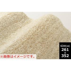 スミノエ(Suminoe) LS1_261X352 リュストル6畳  象牙色