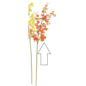 ASCA アスカ オンシジューム×70 蕾×6 (A-35172-030E)【入数:12】 花・ガーデン・DIY-花・観葉植物