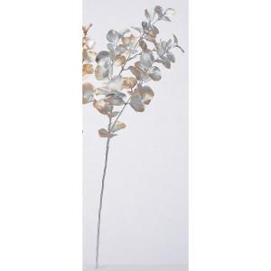 ASCA アスカ ユーカリスプレー (AX60748-050G)【入数:12】