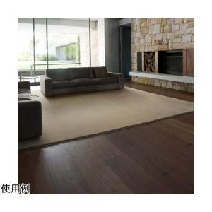 スミノエ(Suminoe) SNX9/100X140 引っ敷き スミトロンニューサキソニー(100×140糎/薄墨色)【日本製】