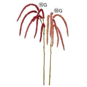 ASCA アスカ アマランサス×6 (A-35398-015G)【入数:12】