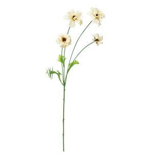 ASCA アスカ ラナンキュラス×4 (A-35412-011)【入数:24】