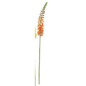 ASCA アスカ エレムルスX55 つぼみX32 (A-34376-030)【入数:12】｜ECJOY！店 16,025円