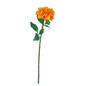 ASCA アスカ ダリア (A-35427-040Y)【入数:24】 花・観葉植物-花・ガーデン・DIY