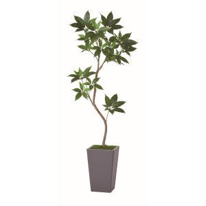 ASCA アスカ ツピタンサス(コンテナキット)【造花観葉樹木】 (A-51179-051A)｜ECJOY！店