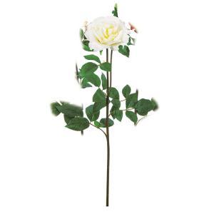 ASCA アスカ サクラ色X1 蕾X1 (A-35462-011)【入数:12】