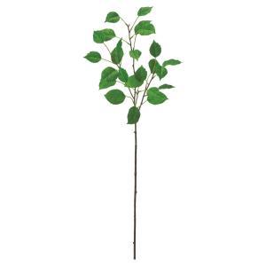 ASCA アスカ リーフスプレー (A-44845-051A)【入数:24】|ECJOY!店