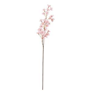 ASCA アスカ 桜X30 (A-35499-013)【入数:12】