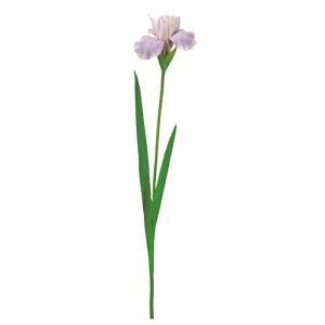 ASCA アスカ 花ショウブ (A-35406-011L)【入数:12】