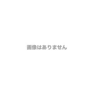 DYNABOOK ダイナブック A5X1LYD7421A Dynabook dynabook X83/LY (ODD無/WUXGA/顔公許/指紋公許) Windows 11 Pro 13.3型（in） Core i5 記憶装置16GB SSD 256GB 1920×1200 Web写真機有り Office皆無 1.0kg未満
