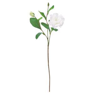 ASCA アスカ ガーデニア×1 蕾×2 (A-35530-001)【入数:24】