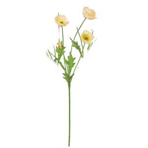 ASCA アスカ 罌粟×3 蕾×1 (A-35455-020K)【入数:24】