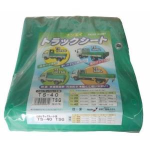南榮加工(Nan-a Corporation) 南榮加工 貨物自動車居敷き(中型貨物自動車用) 大きさ2.60m×4.45m ターポスーパーグリーン TS-40 TSG (2253853)