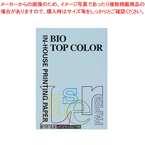 【まとめ買い10個仕かける品】バイオいの一番色合い A4判 100枚 BT132 内燃機関青味 1冊【ECJ】