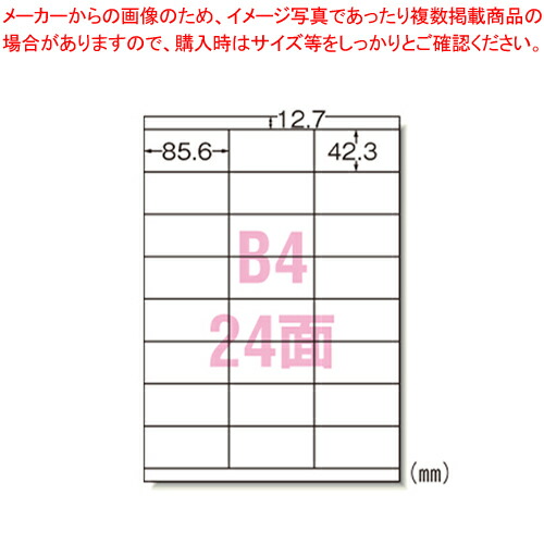 【まとめ買い10個セット品】レーザープリンタラベル 24面100入 28436  1冊【ECJ】