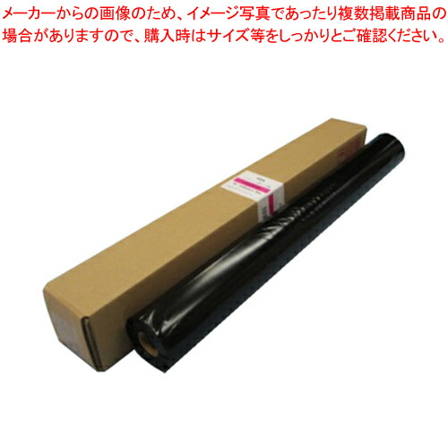 【まとめ買い10個書き割り品】大判インクジェット質問用紙 光輝紙 IJG1-9130  1箱【ECJ】