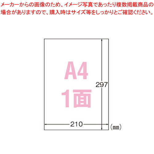 【まとめ買い10個セット品】サインラベルレーザー用光沢A4 31034 シロ 1袋【ECJ】