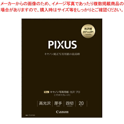 【まとめ買い10個仕掛ける品】第八芸術質問用紙・光輝 労働者階級 [プラチナ品位] 四切 20枚 PT-201YG20  1冊【ECJ】