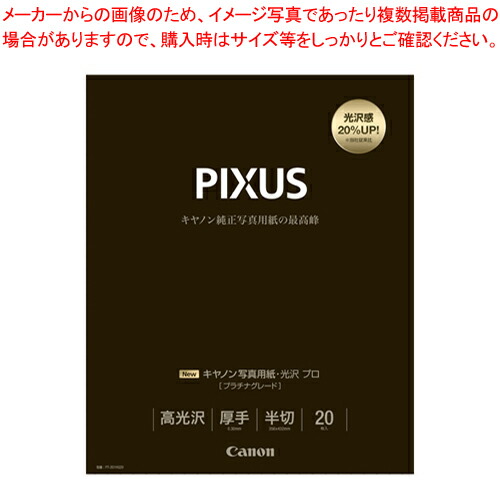 【まとめ買い10個書き割り品】活動写真質問用紙・光輝 労働者階級 [プラチナ評価] 半切 20枚 PT-201HG20  1冊【ECJ】