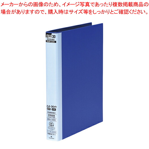 【まとめ買い10個セット品】ダブロックファイル 青 F948R-02 ブルー 1冊【ECJ】