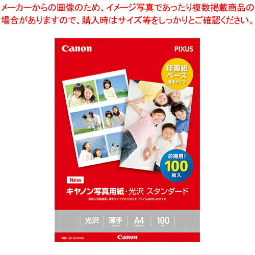 【まとめ買い10個仕掛ける品】第八芸術用光輝紙 判定基準 A4 100枚 SD-201A4100  1冊【ECJ】