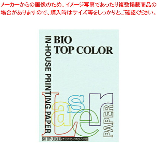 【まとめ買い10個仕かける品】バイオいの一番色合い A4判 100枚 BT107 青味 1冊【ECJ】