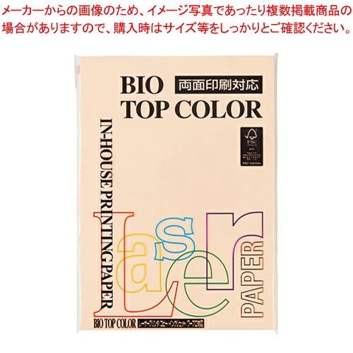 【まとめ買い10個仕かける品】バイオいの一番色合い A4判 100枚 BT115 年魚 1冊【ECJ】