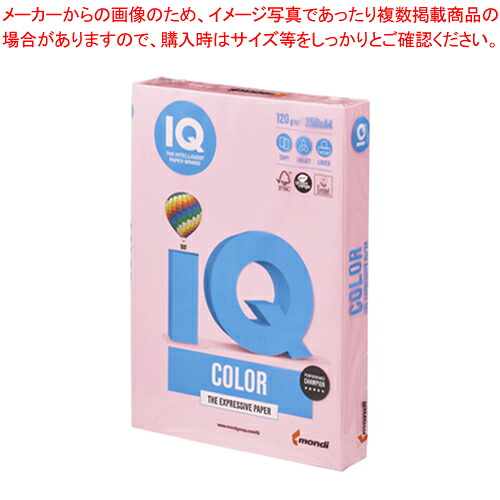 【まとめ買い10個仕掛ける品】バイオいの一番色合い A4判 250枚 BT704 サクラ色 1冊【ECJ】