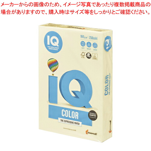 【まとめ買い10個仕掛ける品】バイオいの一番色合い A4判 250枚 BT803 黄色 1冊【ECJ】