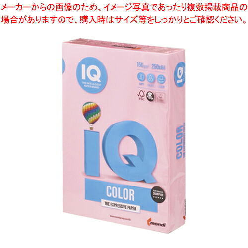 【まとめ買い10個仕掛ける品】バイオいの一番色合い A4判 250枚 BT804 サクラ色 1冊【ECJ】