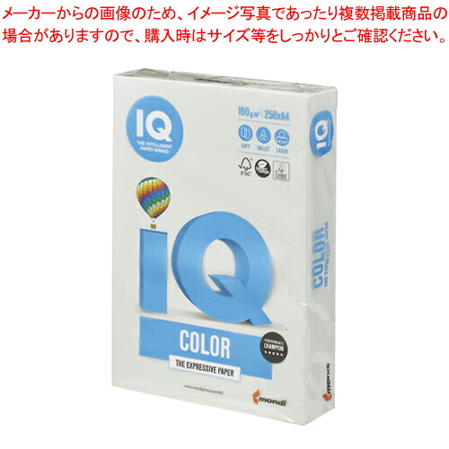 【まとめ買い10個セット品】バイオトップカラー A4判 250枚 BT809 グレー 1冊【ECJ】|マルシェ&キッチンカーWORLD