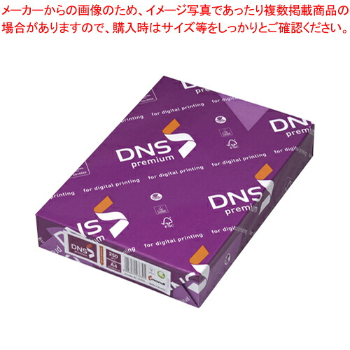 【まとめ買い10個仕掛ける品】DNS割り増し金 A4 250g 150枚 DNS505  1冊【ECJ】