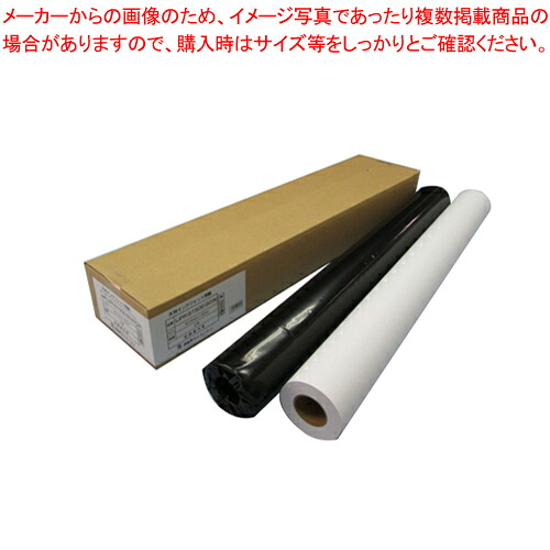 【まとめ買い10個セット品】大判インクジェット用紙 普通紙(エコノミー80) 2本入り IJPR-6150E(80)N 1箱【ECJ】