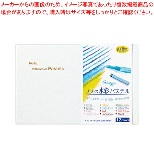 【まとめ買い10個セット品】Vistage 大人の水彩パステル 12色 GHW1-12 1個【ECJ】