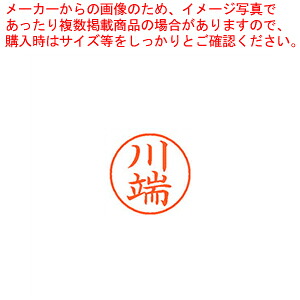 【まとめ買い10個セット品】ネーム9 既製 川端 XL-9 0830 カワバタ 1本【ECJ】|マルシェ&キッチンカーWORLD