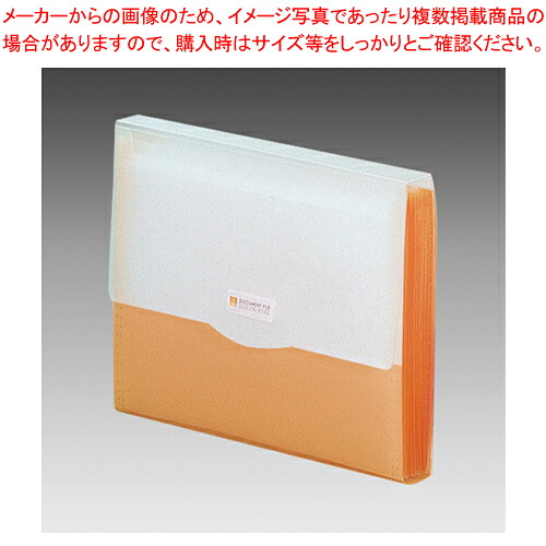【まとめ買い10個仕掛ける品】お願いごと 検面調書整理保存用具 G5610-4 オレンジ色 1冊【ECJ】