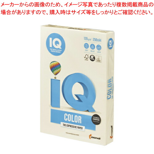 【まとめ買い10個セット品】バイオトップカラー A4判 250枚 BT730 バニラ 1冊【ECJ】 31,336円
