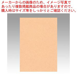 【まとめ買い10個セット品】ニューカラー8切 100枚 8NCR-103 ウスダイダイ 1冊【ECJ】｜マルシェ＆キッチンカーWORLD