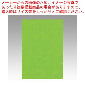 【まとめ買い10個セット品】ニューカラー8切 100枚 8NCR-238 コイキミドリ 1冊【ECJ】｜マルシェ＆キッチンカーWORLD