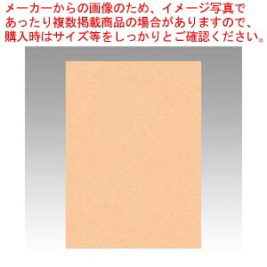 【まとめ買い10個セット品】ニューカラー4切 100枚 4NCR-103 ウスダイダイ 1冊【ECJ】