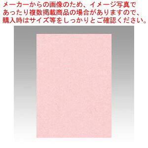 【まとめ買い10個セット品】ニューカラー4切 100枚 4NCR-102 ウスモモ 1冊【ECJ】｜マルシェ＆キッチンカーWORLD