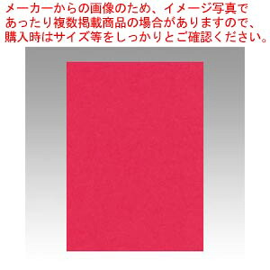 【まとめ買い10個セット品】ニューカラー4切 100枚 4NCR-325 ボタンイロ 1冊【ECJ】｜マルシェ＆キッチンカーWORLD