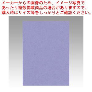 【まとめ買い10個セット品】ニューカラー4切 100枚 4NCR-217 フジムラサキ 1冊【ECJ】|マルシェ&キッチンカーWORLD