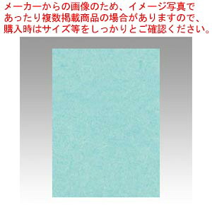 【まとめ買い10個セット品】ニューカラー4切 100枚 4NCR-110 ウスミズ 1冊【ECJ】｜マルシェ＆キッチンカーWORLD